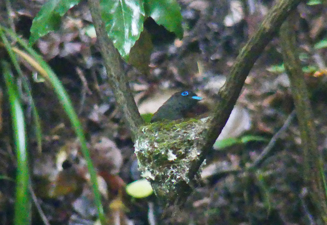 P3740708