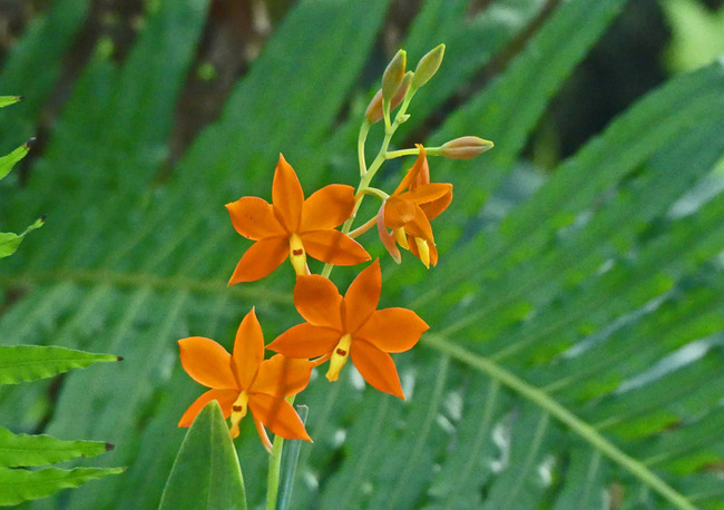 P2330031