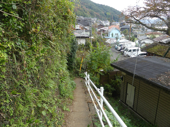 P5620104