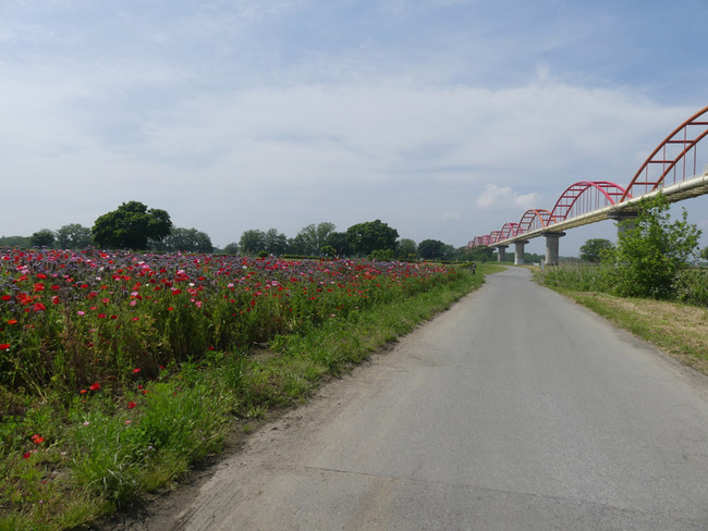 P3000116