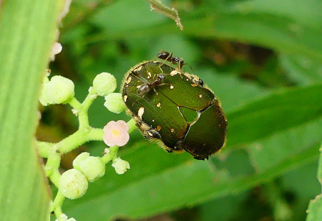 P5310116
