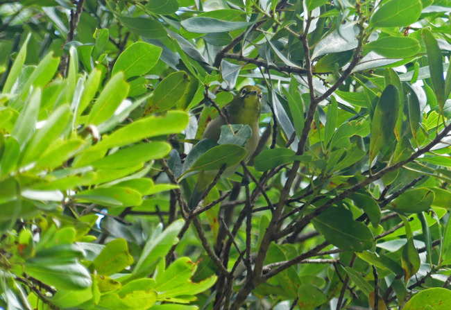 P8010430_edited-3