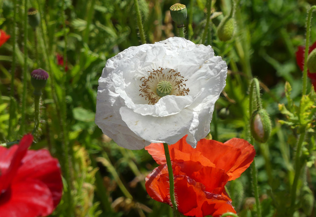 P1790797