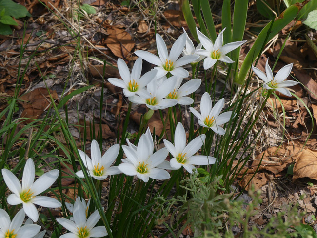 P3430112