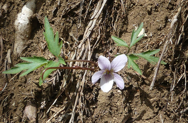 P6350533