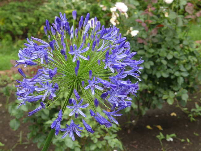 P6630987