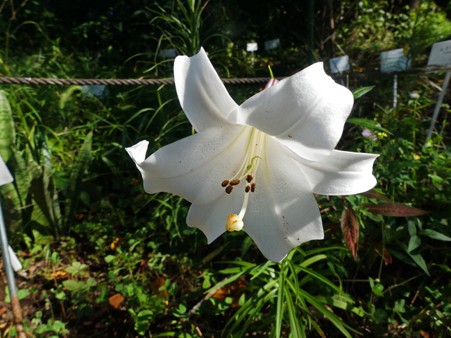 P5410450