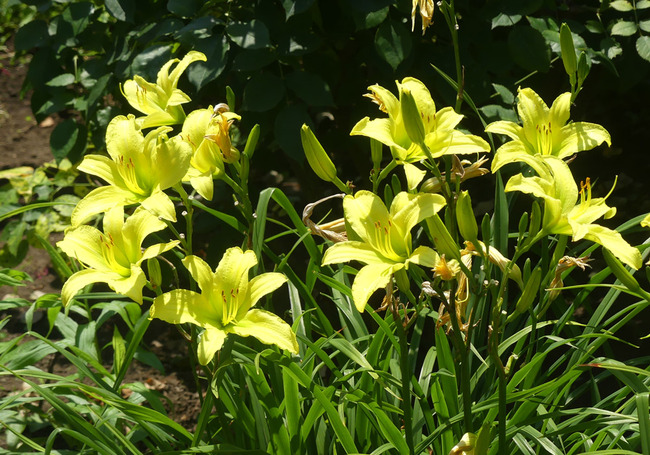 P4230556