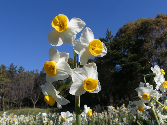 イメージ 3
