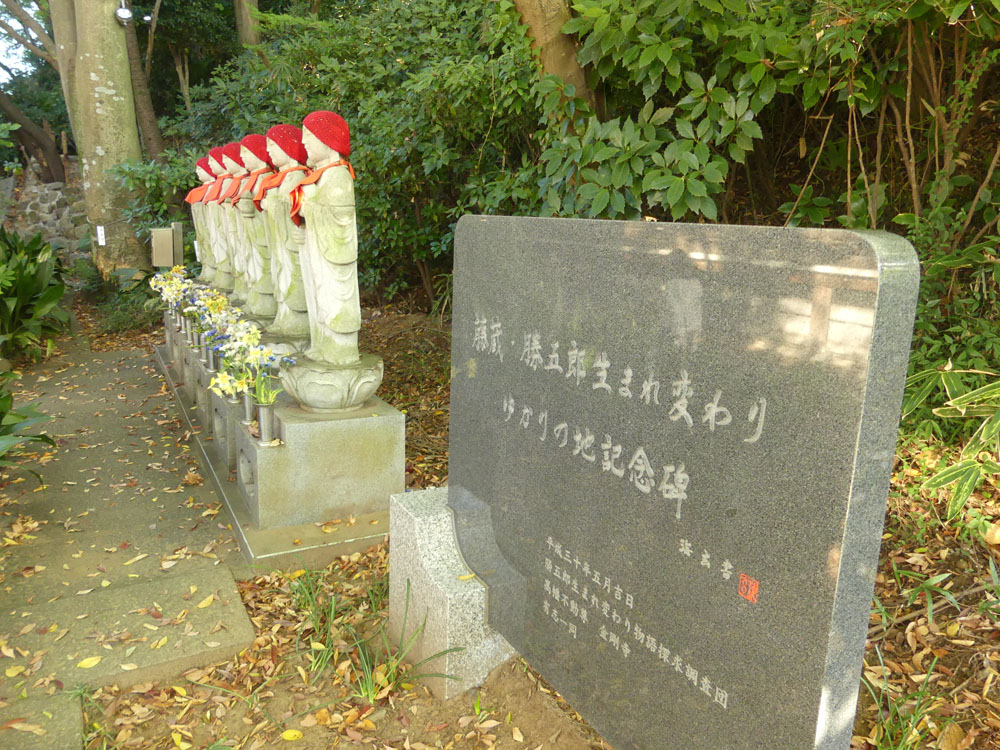 イメージ 14