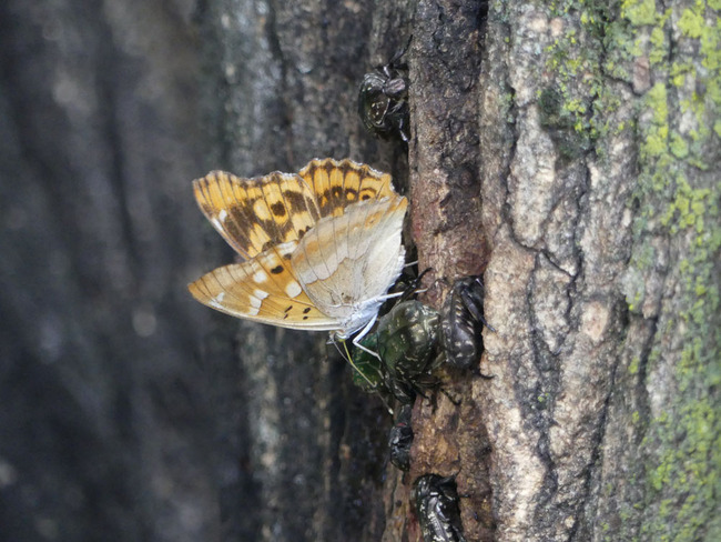 P3560075