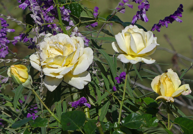 P2280012