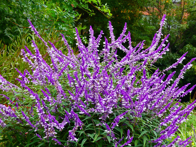 P5720278