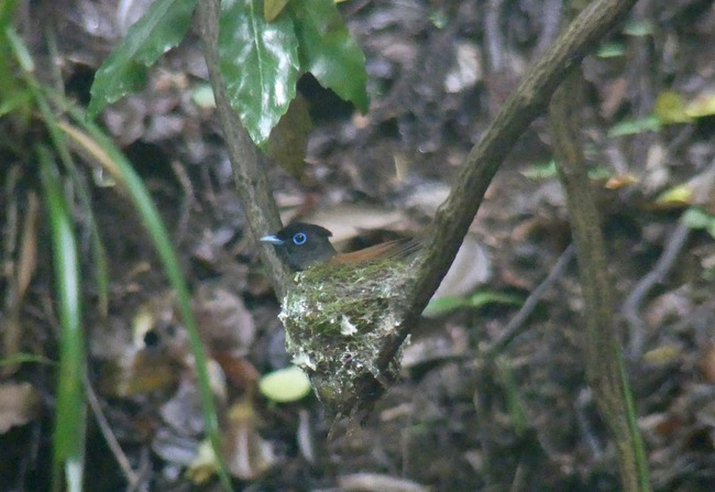 P3740643