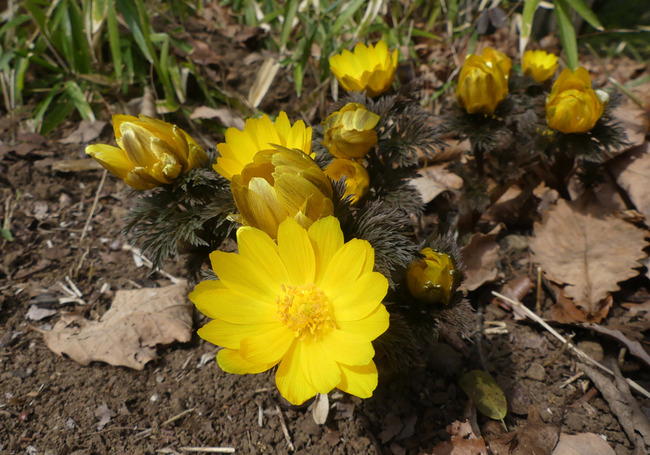 P4550696_edited-1