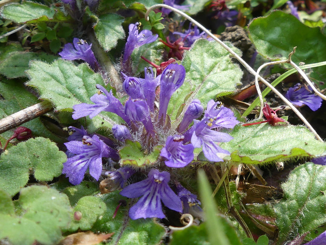 P4870319