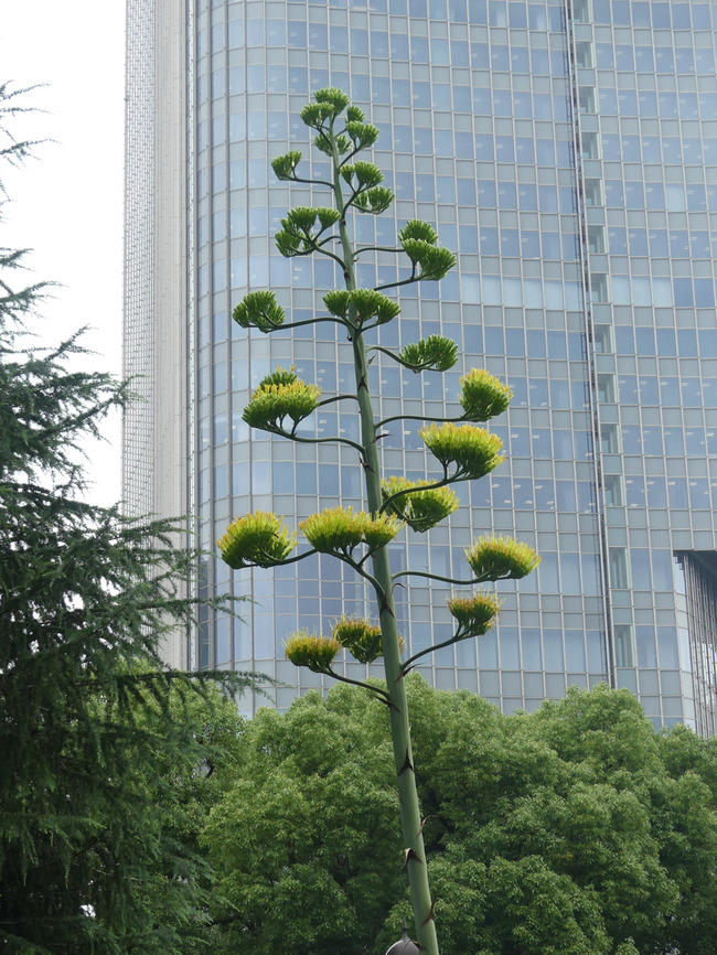 P2010086