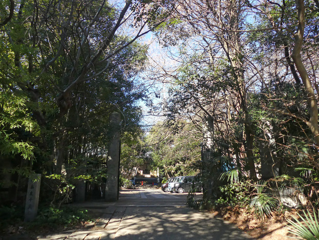 P2530849