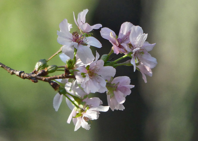 P4680306