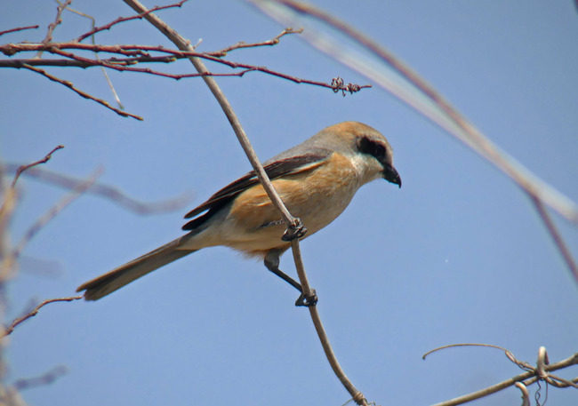 P7620038