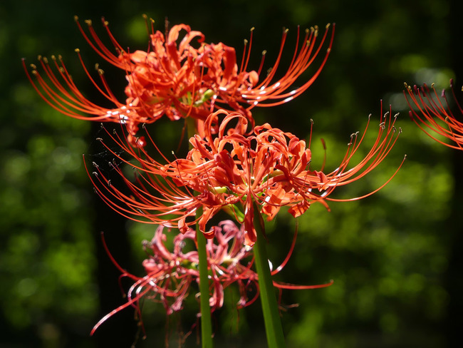 P3470595