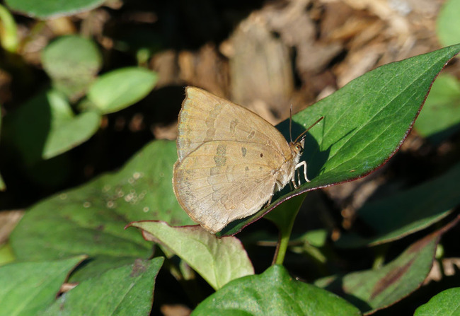 P6730358