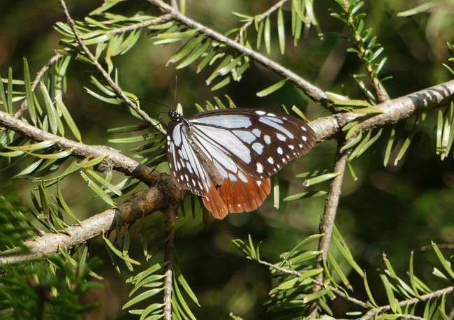 P5510150