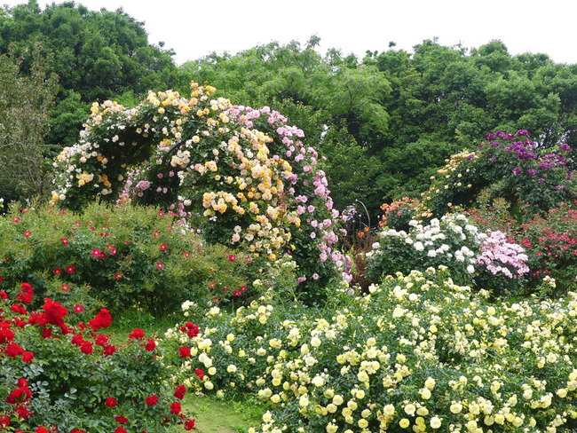 P3040031