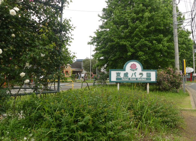 P3010613_edited-1