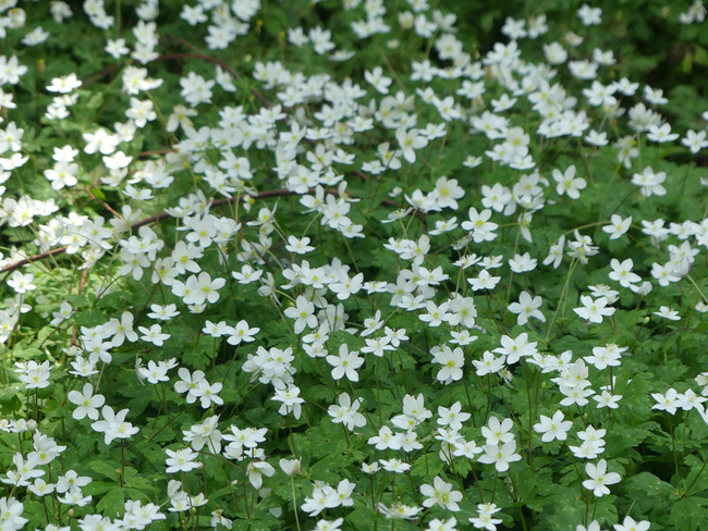 P2840540