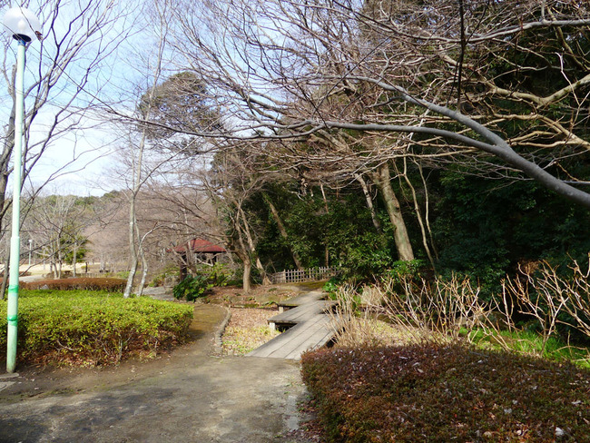 P4260028