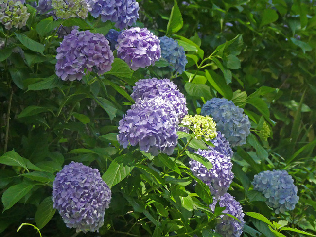 P1890643
