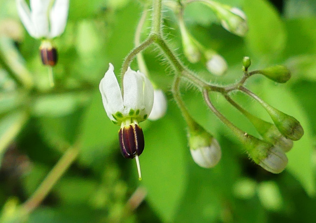 P5040334