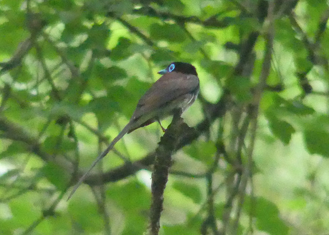 P3090802