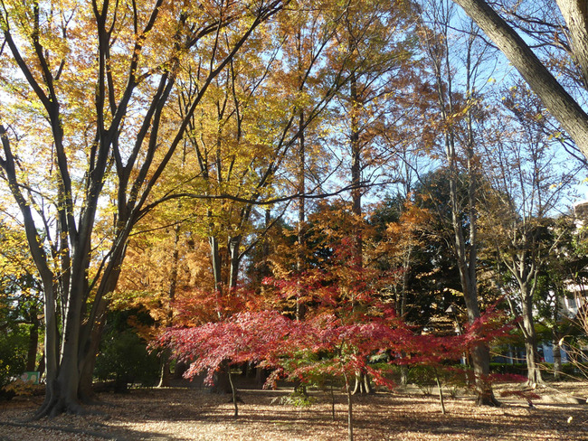 P2380216