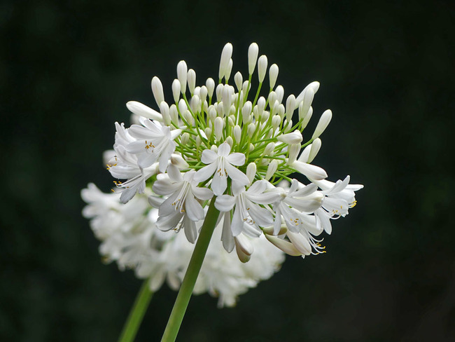 P1930182