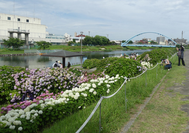 P1920258
