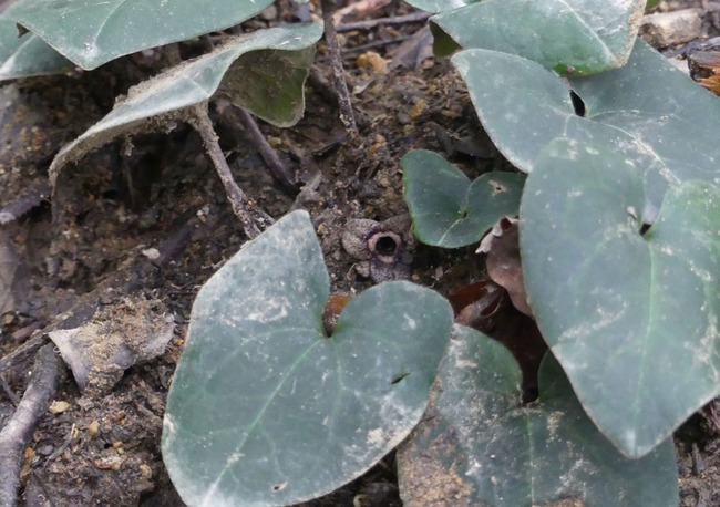 P5520062