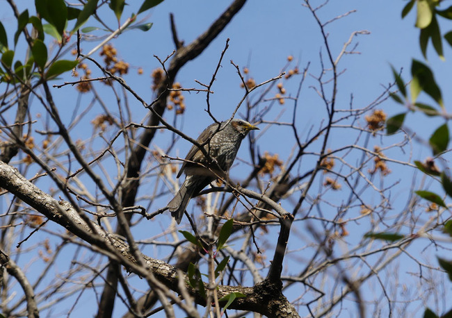 P5970039