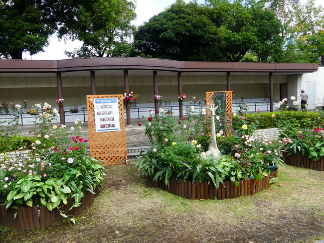 P3930025