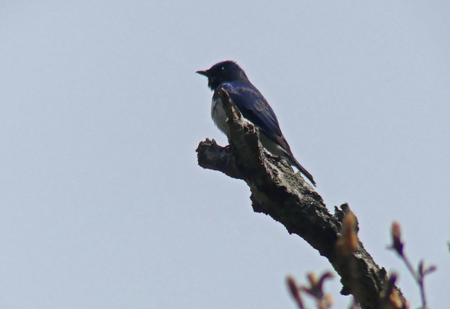P3640547