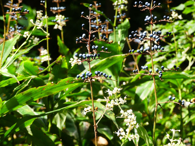 P3890468