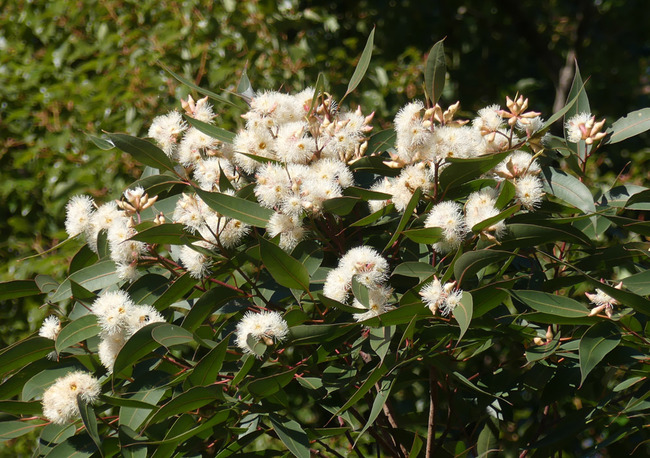P5980381