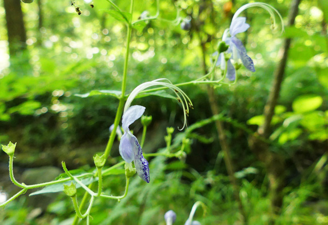 P6710699