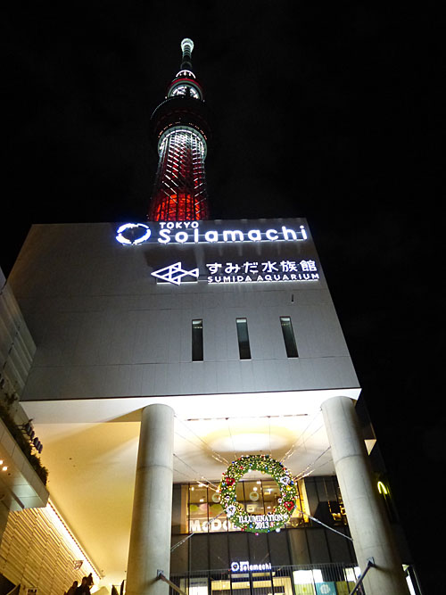 イメージ 2