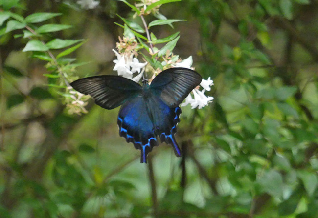 P5060413_edited-1