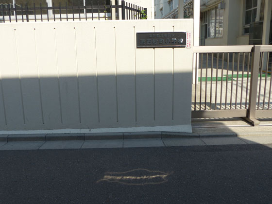 イメージ 11