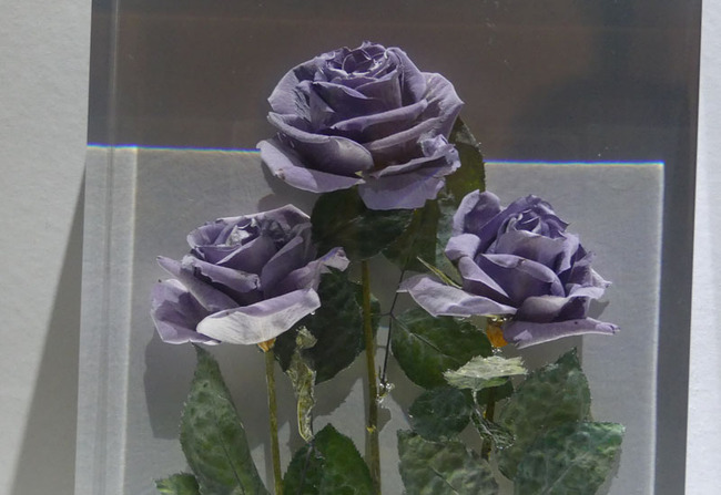 P6690377