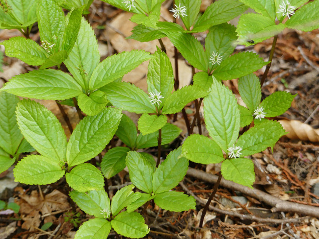 P6340642_edited-1