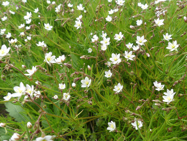P4270070